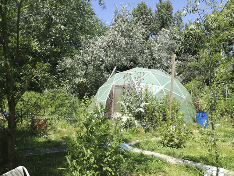Green Ass Garden op Het Groene Veld