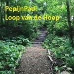 Loop van de Hoop: Peppijnpad