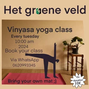 Vinyasa yoga class