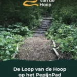Opening Loop van de Hoop