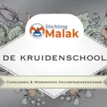 Workshop: De Overgang en Kruidenwijsheid
