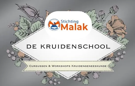 Workshop: De Overgang en Kruidenwijsheid