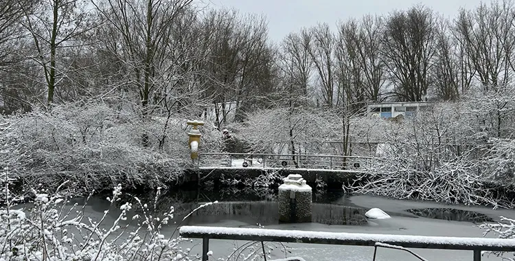 nieuwsbrief februari