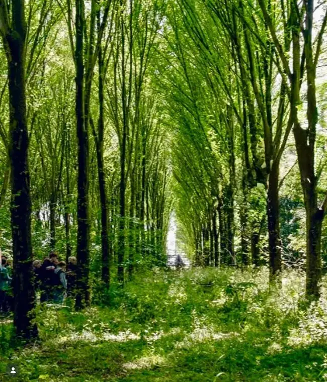 Tafelen op het Talud 31 mei 2026